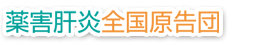 薬害肝炎 全国原告団